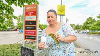Mum fined £150 for littering at Sainsbury's over kale leaf left in trolley