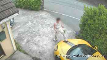 Woman walks onto man's drive and repeatedly kicks his £75k McLaren