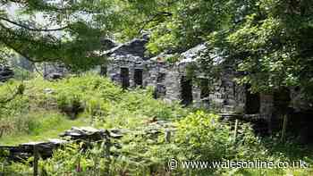 Abandoned Welsh village reclaimed by nature after everyone forced to move