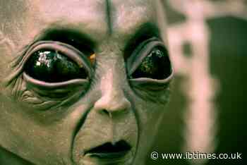 UFO Expert Says People 'Have Been Ready', Demands Government To 'Show The Alien'