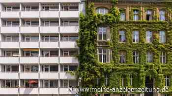 Bis zu 2,3 Grad kühler ohne Klimaanlage: Dieser Trick am Haus senkt die Raumtemperatur spürbar