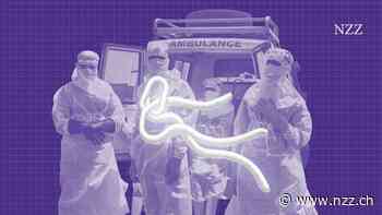 Der Ebola-Ausbruch in Kongo verschärft sich: was hinter der seltenen Bundibugyo-Variante steckt