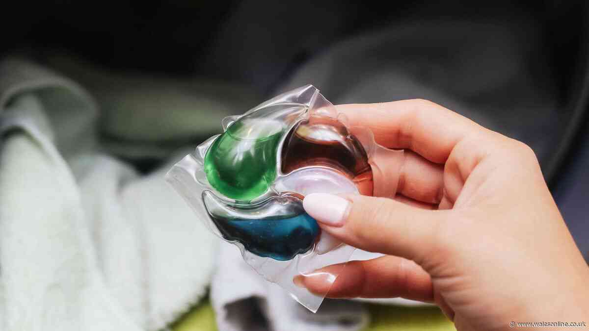 Difference between bio and non-bio laundry detergent explained - 1 is better for stains