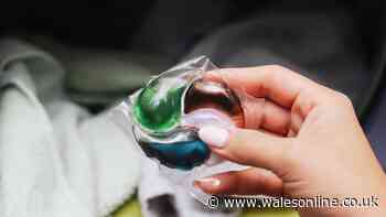 Difference between bio and non-bio laundry detergent explained - 1 is better for stains
