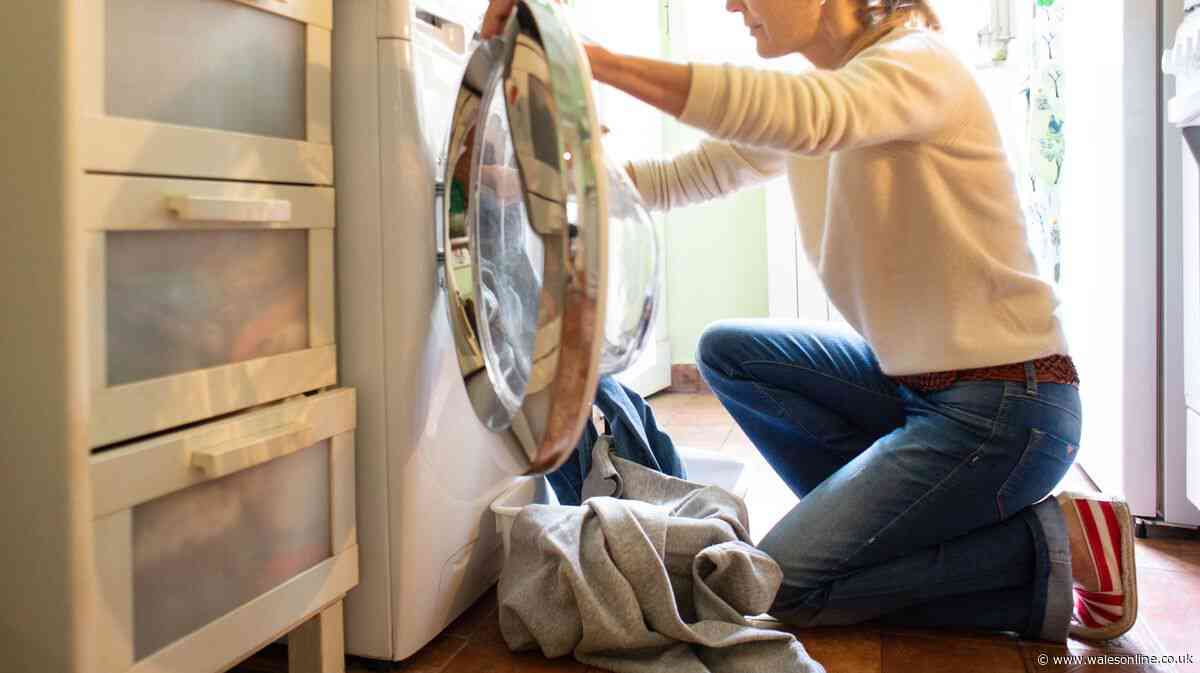 People are hiding food in the washing machine and toilet cistern
