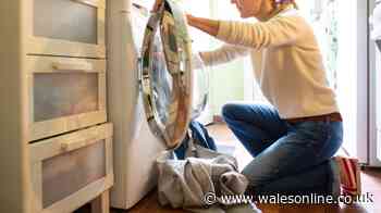People are hiding food in the washing machine and toilet cistern
