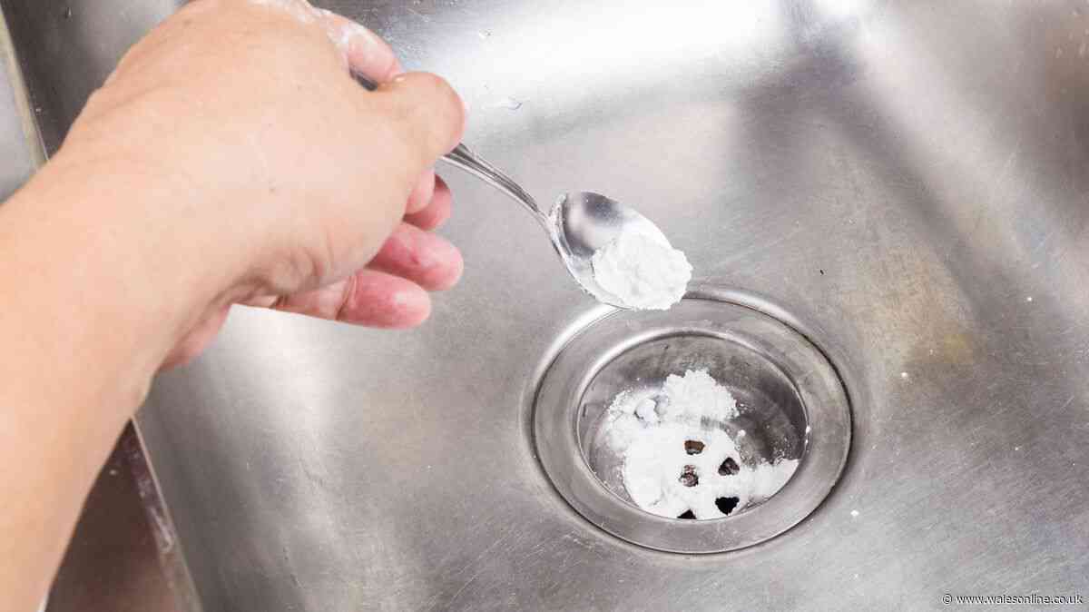 Drains unblock 'fast' without plumber with £1 solution expert recommends
