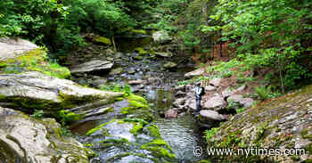 36 Hours in the Catskills: Things to Do and See