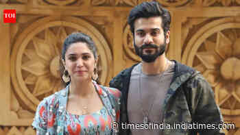 Did Sharvari's rising fame lead to her split with Sunny?