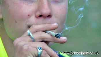 Major new study shows legalising cannabis does not increase addiction
