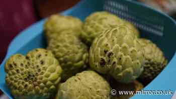 World's most nutritious fruit is packed with vitamins and could give mental health a boost