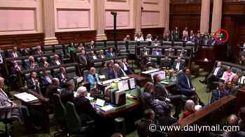 Sombre-looking Dan Andrews makes his first public appearance in months as he dons a blue suit and returns to parliament after secret health battle