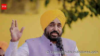 'Not Bhagwant Mann': AAP cites '1,191 different angles' to defend Punjab CM in 'sacrilege' row