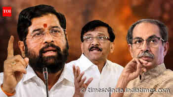 Rs 50 crore each? Meet 6 MPs who could decide the fate of Uddhav Thackeray's Shiv Sena