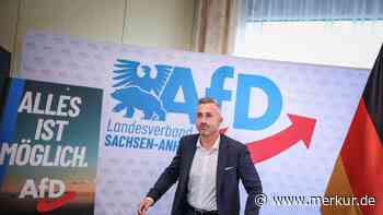 Der geheime AfD-Plan: Mit abtrünnigen CDU-Politikern will die Partei an die Macht in Sachsen-Anhalt