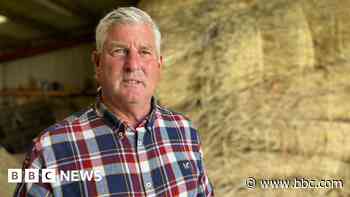 'Forgotten' thatchers warn trade will die without recruits