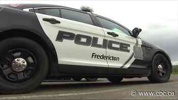 Fredericton police team deployed to tackle public drug use, petty crime
