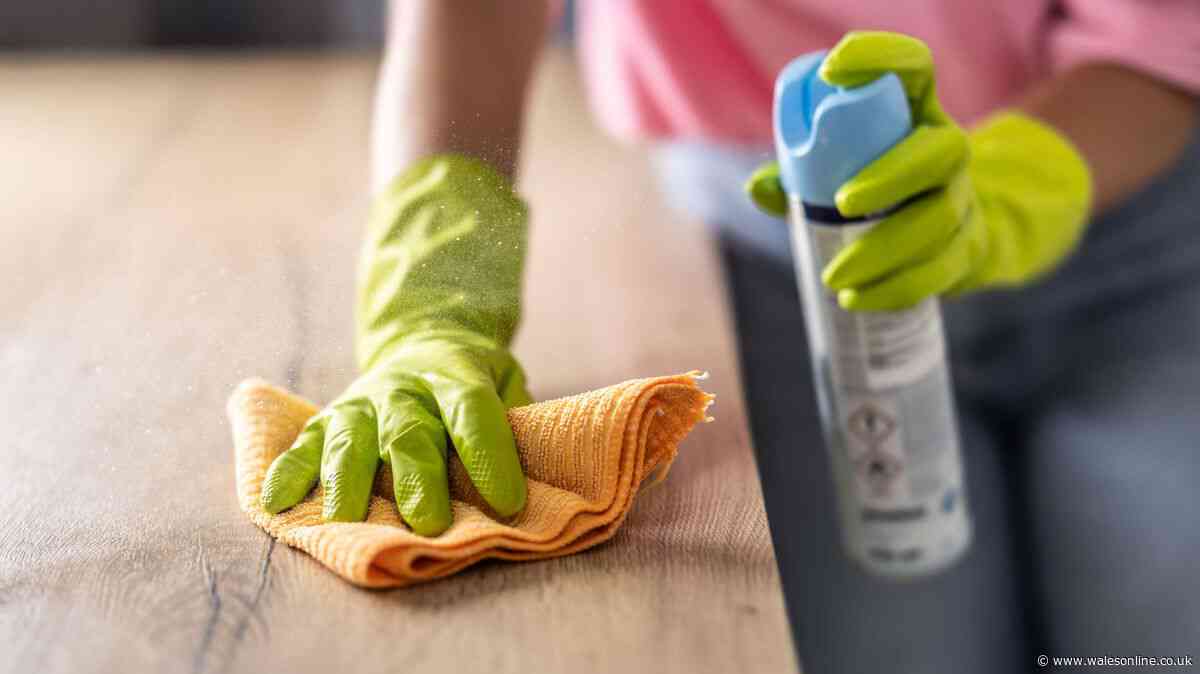 One tool pro cleaner 'can't live without' after 20 years in the business