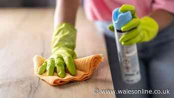 One tool pro cleaner 'can't live without' after 20 years in the business