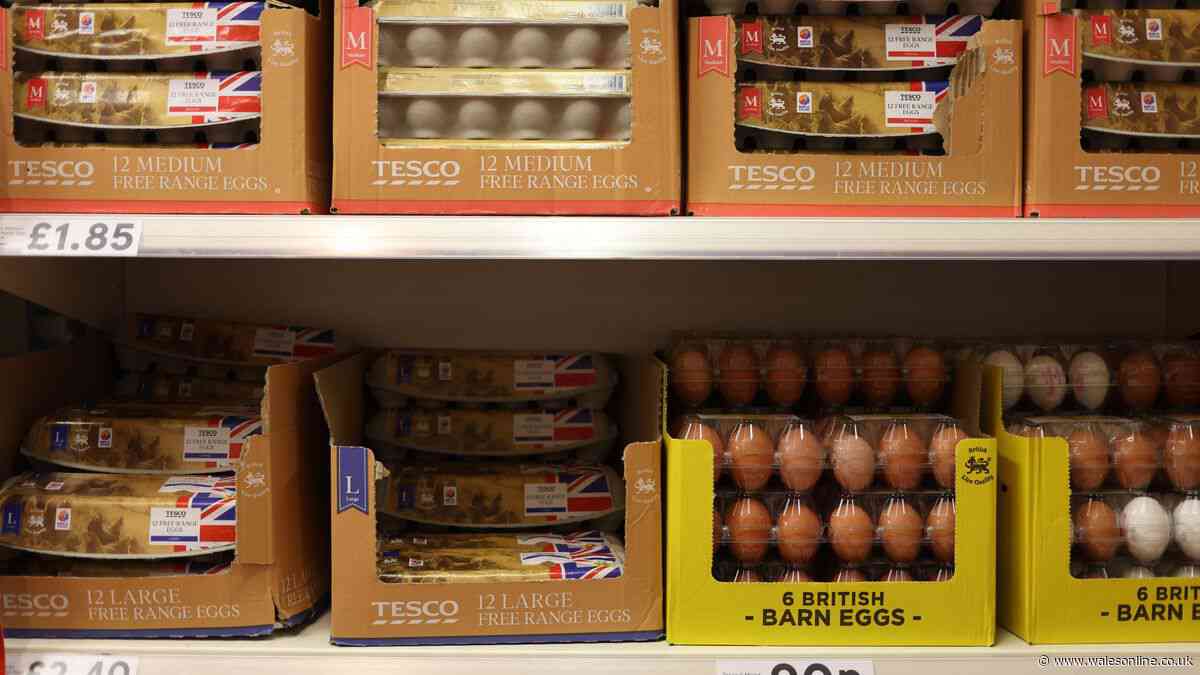 Eggs storage warning as expert says 'don't leave them here'