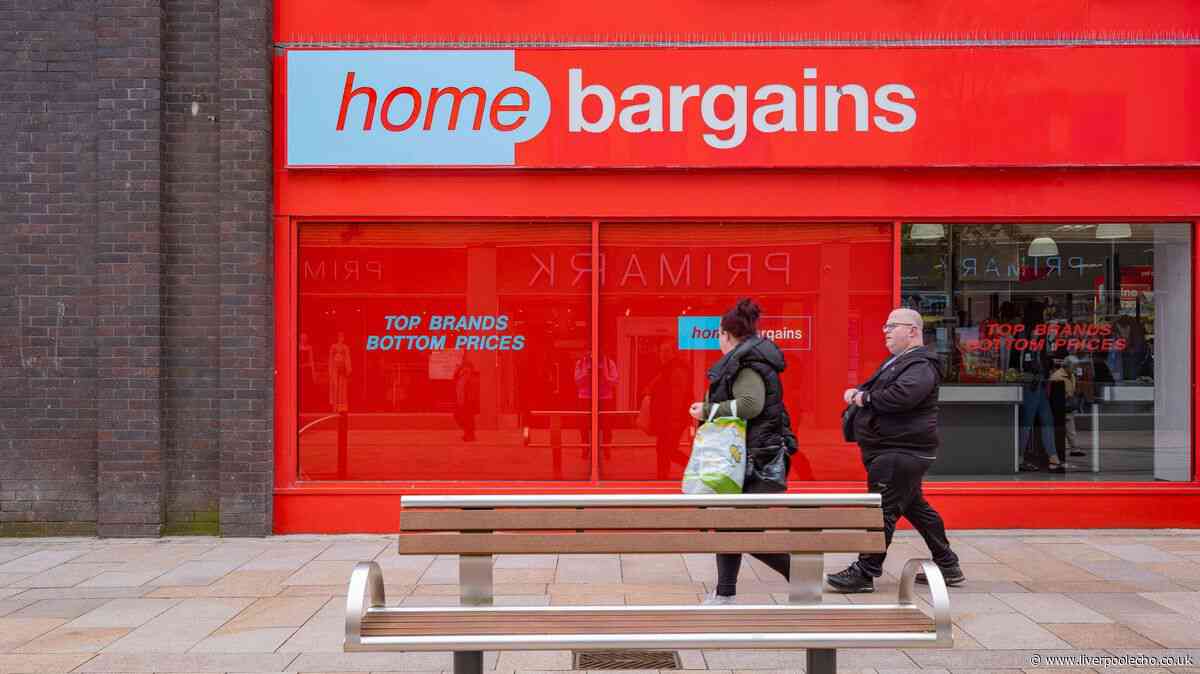 'Stunning' £13 Home Bargains item adds 'elegance' to gardens and patios for summer