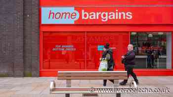 'Stunning' £13 Home Bargains item adds 'elegance' to gardens and patios for summer