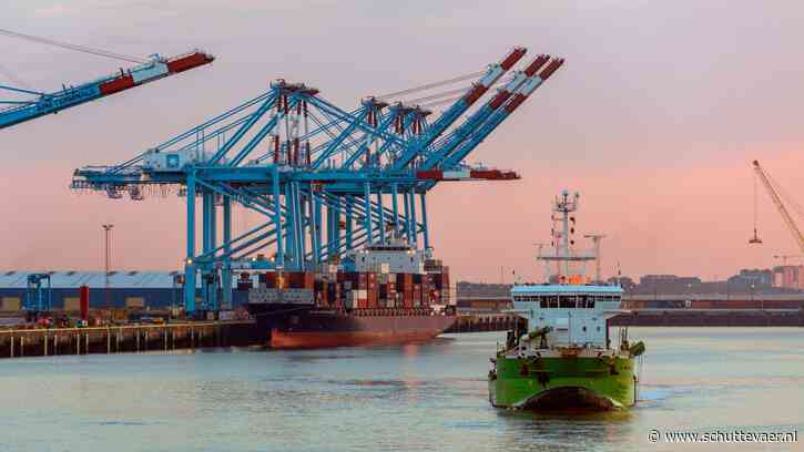 Arbeidsongeval in Zeebrugge: 54-jarige havenwerker overleden