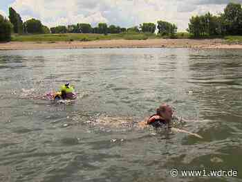 So gefährlich ist das Schwimmen im Rhein
