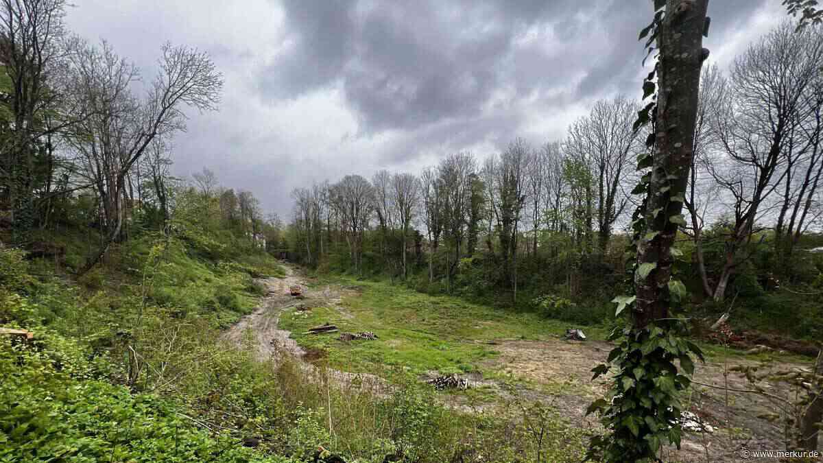 Gericht empfiehlt gütliche Einigung: Grundstück in Starnberg soll aufgeforstet werden