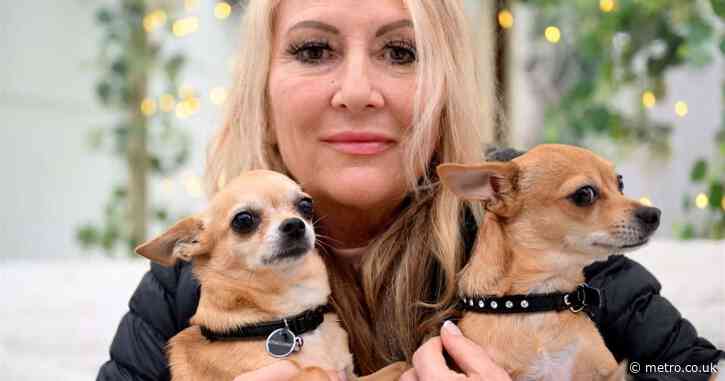 Woman bans her dogs from going outside because she keeps finding dead animals