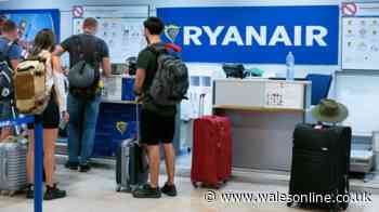 'Perfect cabin bag for Ryanair' can be bought for £4 with cashback deal