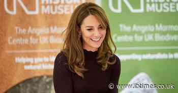 Princess Catherine's Medical Records Targeted in Alleged Sale Attempt by Former Health Worker