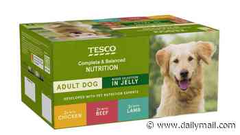 Revealed: The popular UK pet foods that contain the most microplastics - so, is your dog or cat at risk?