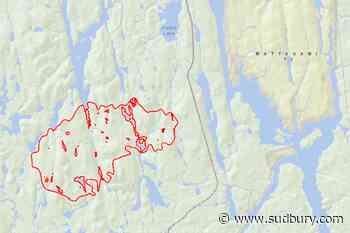 Gogama-area forest fire now under control