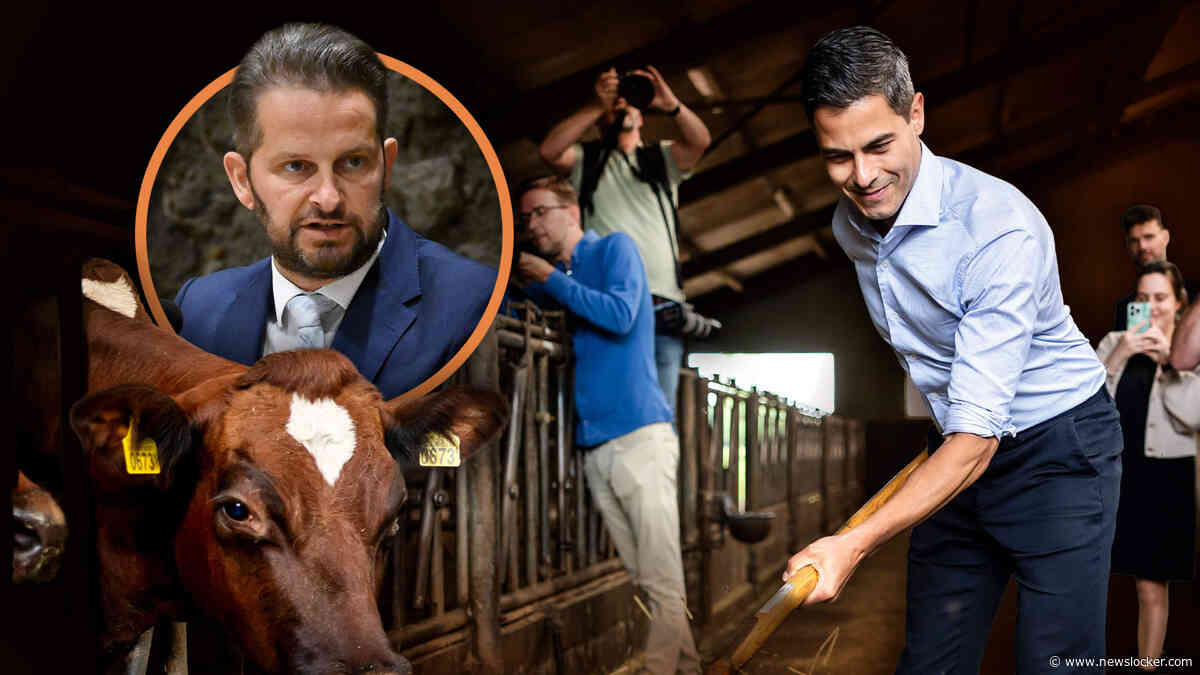 SGP-er André Flach haalt uit naar kabinet-Jetten: ’Stikstofbeleid is politiek gokken met gezinnen’