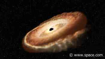 Astronomers solve the mystery of black holes' delayed cosmic 'burps'