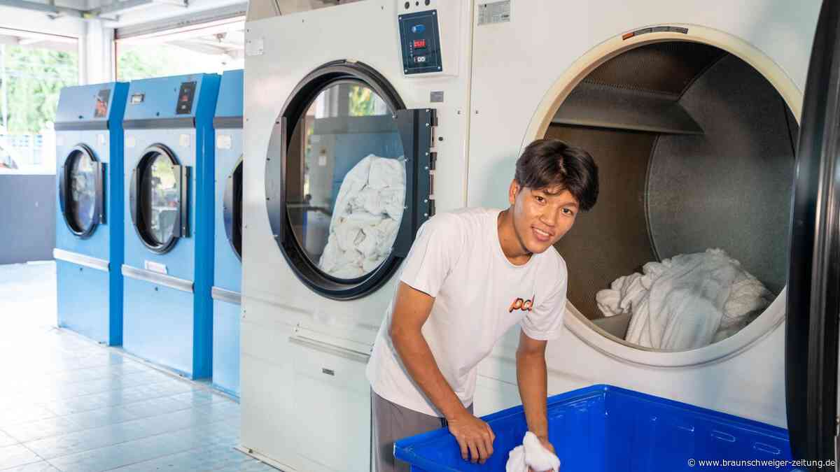 Waschen unter Palmen: Zwei Braunschweiger gründen Unternehmen in Thailand