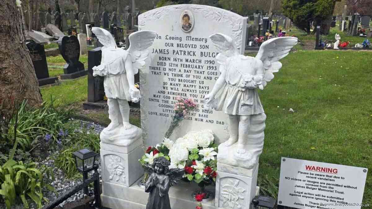 Man detained after James Bulger's grave vandalised