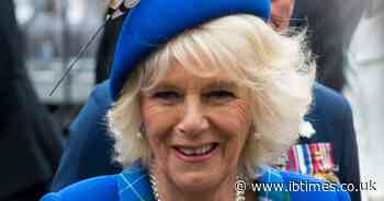 Queen Camilla's 'Unsavory' Protocol Error Caught on Camera, Invoking Bitter Princess Diana and Meghan Markle Compares