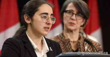 Gun control groups urge faster ‘protection order’ ineligibility change