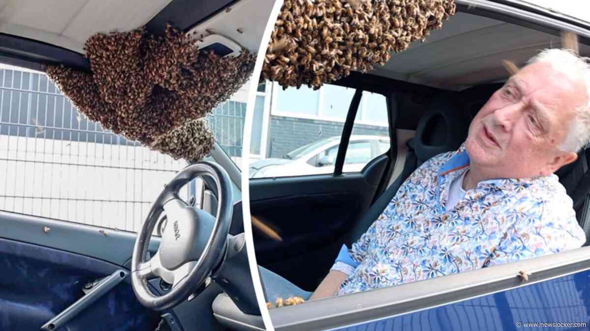 Bestuurder in Haarlem doet bijzondere ontdekking in auto: ’Echt bizar!’