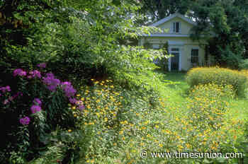 How to turn your yard into a wildlife haven