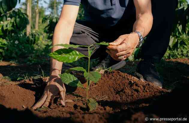 NESCAFÉ bezieht 2025 mehr als 50 % seines Kaffees aus regenerativer Landwirtschaft