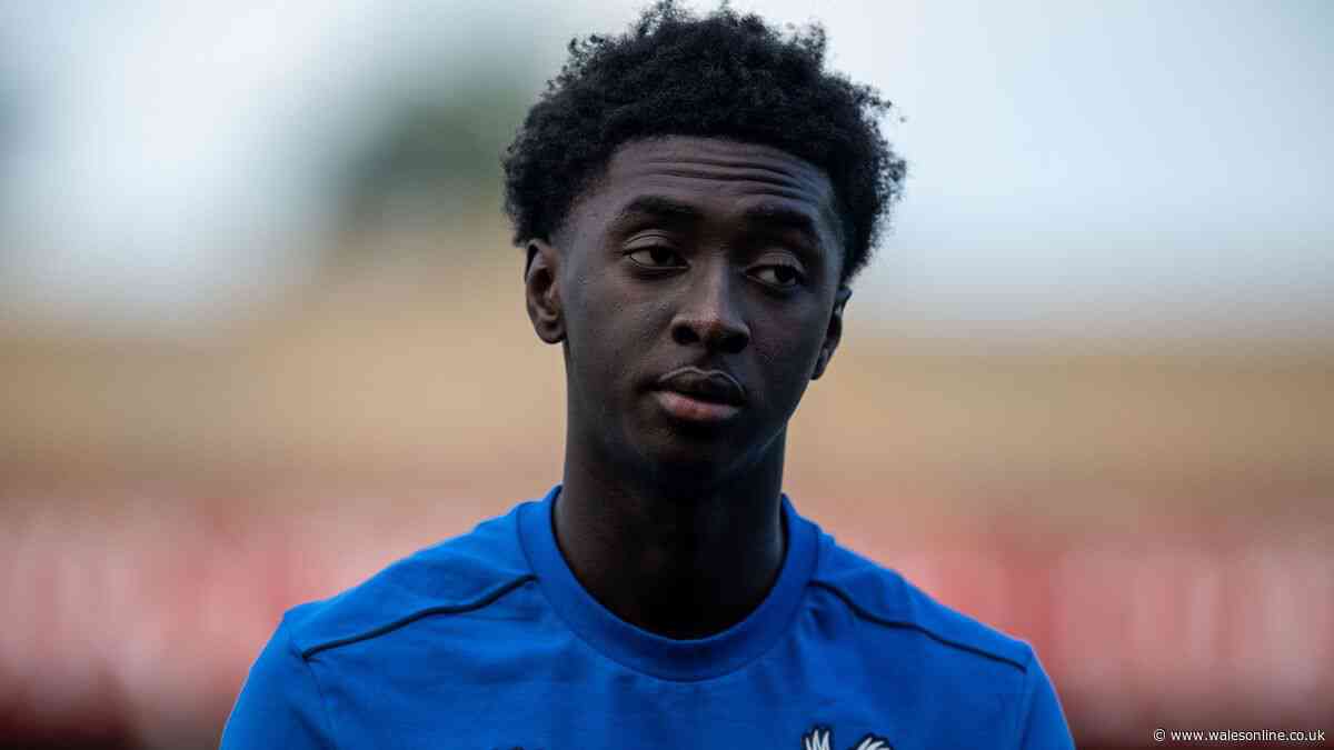 Swansea City's new man could now help re-open door for next summer transfer