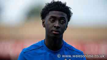 Swansea City's new man could now help re-open door for next summer transfer