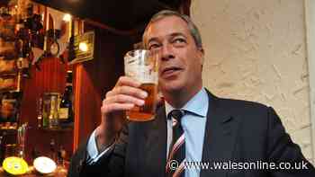 Nigel Farage mocked as people spot one thing wrong with pub photo