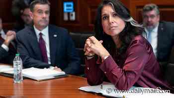 Spy world panic as Tulsi Gabbard prepares to unleash bombshell file dumps on secret CIA 'mind control' project and Dr. Fauci