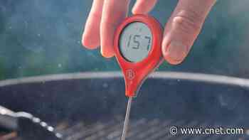 Best Meat Thermometers of 2026 for Grill Master Dads