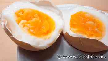 How to make perfect jammy eggs without fail by doing 1 task before cooking