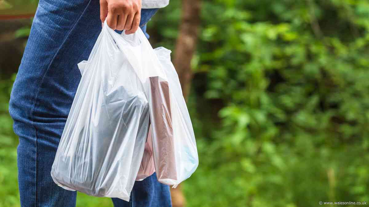 Binman explains how to dispose of supermarket carrier bags correctly